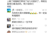 脚后跟疼中医解决办法