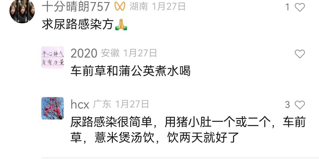 Screenshot_20240317_131358.jpg 治尿路感染中药方偏方 治尿路感染 第1张