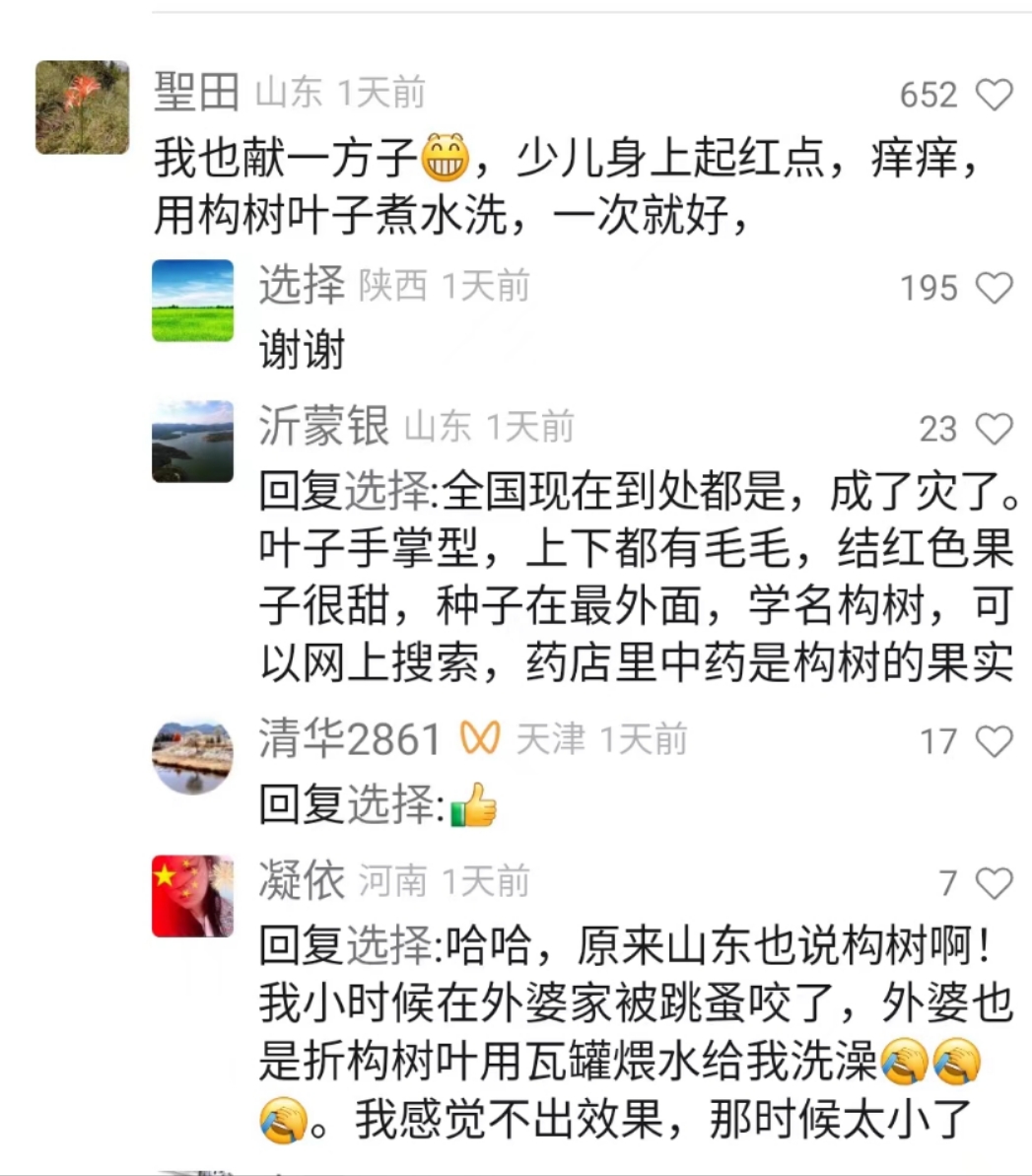 mmexport1711354754778.jpg 儿童起红点很痒怎么办 儿童起红点 第1张