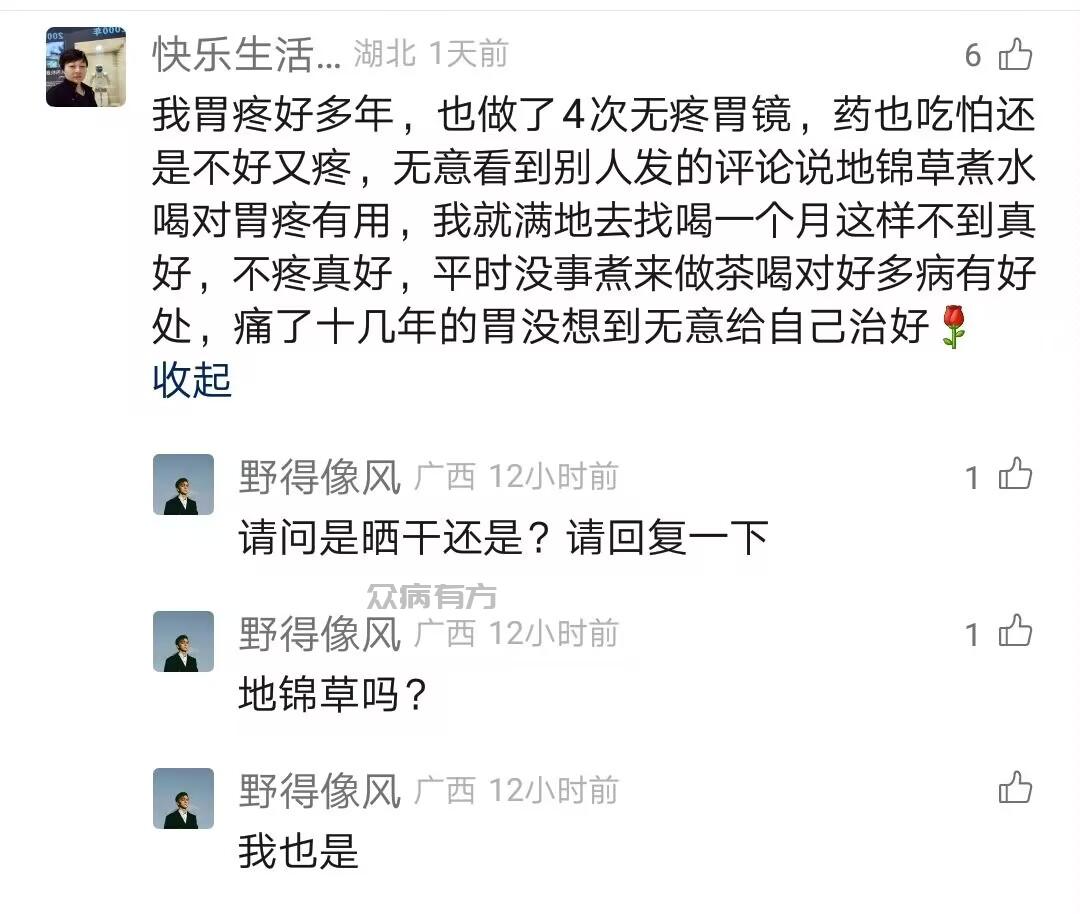 Image_97808350894970.jpg 多年的老胃病用一种草煮水喝居然好了 胃病 第1张