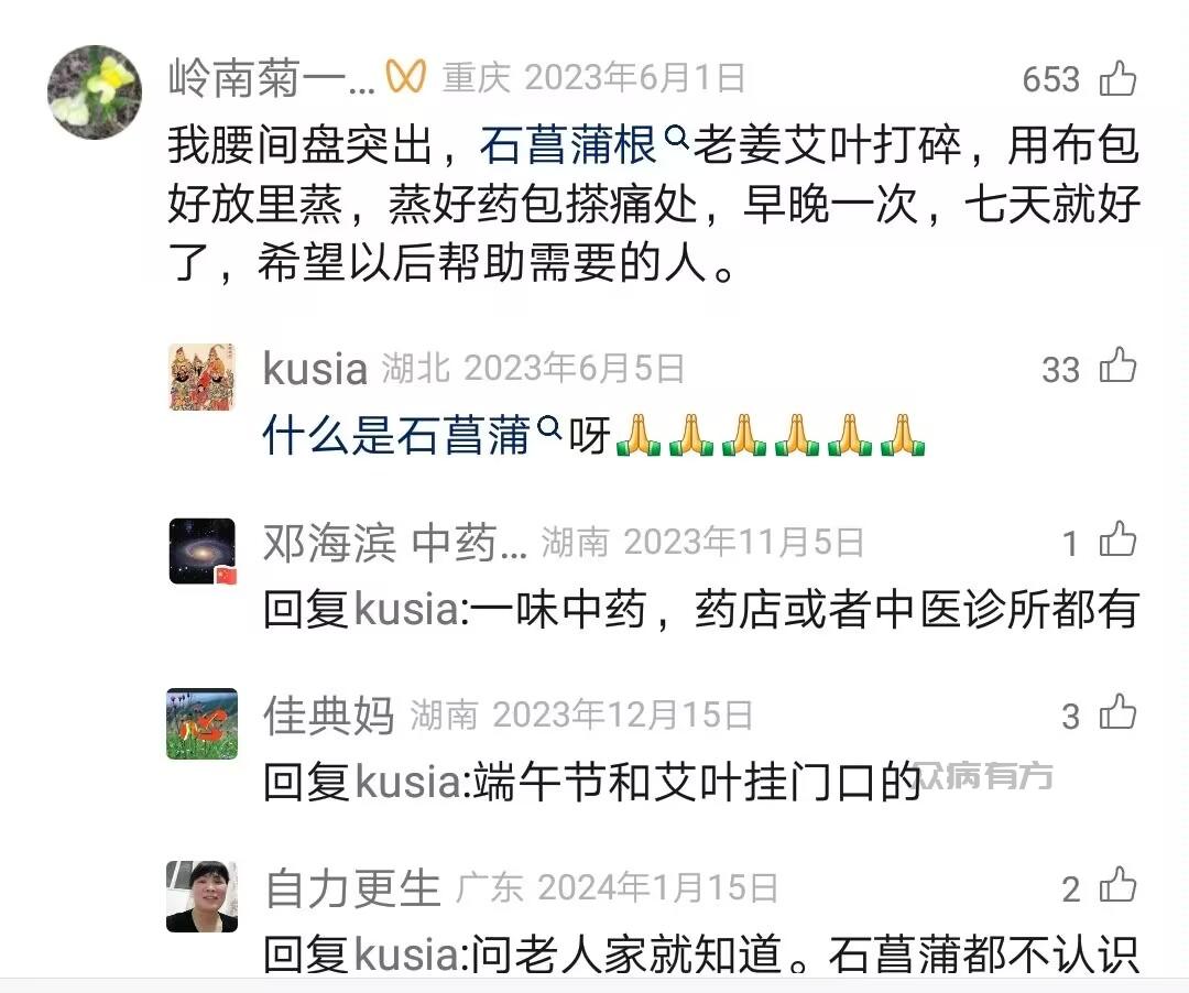 Image_331302779042675.jpg 石菖蒲根治疗腰间盘突出的中药偏方 腰间盘突出 第1张