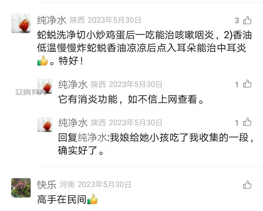 Image_331299670114029.jpg 用蛇脱皮治疗咳嗽咽炎的中药方法 咳嗽 第1张